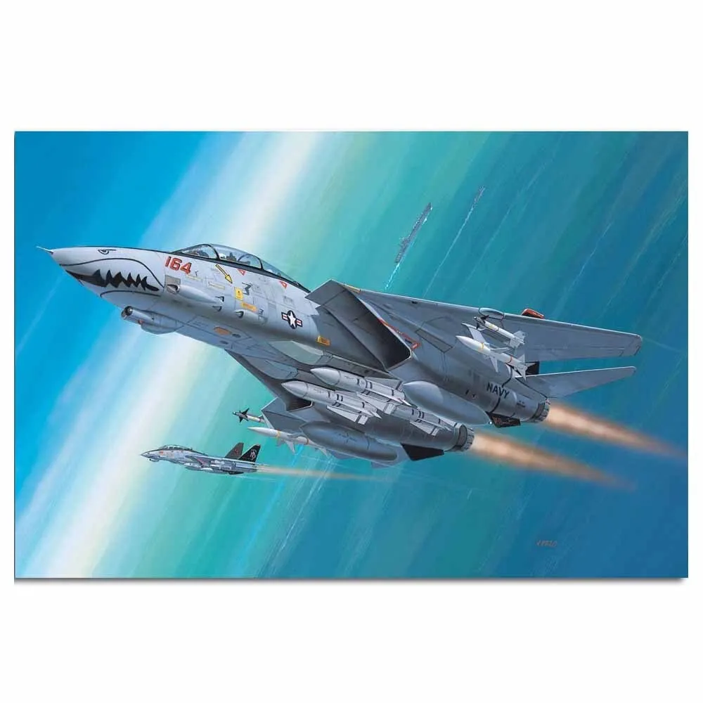 1/144 F14D Super Tomcat Model  Set