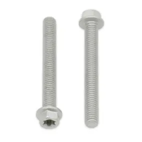 BOLT EURO LARGE TORX 6x20mm FLANGE BOLT (Pkt of 10)