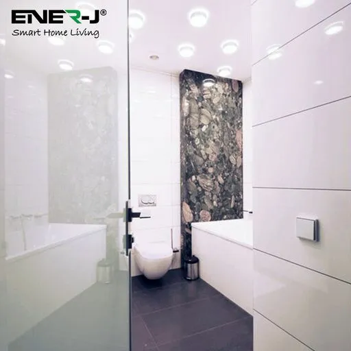 ENER-J 2 ways Wireless Receiver, 5Ax2 on/off,RF433mhz Non Dimmable