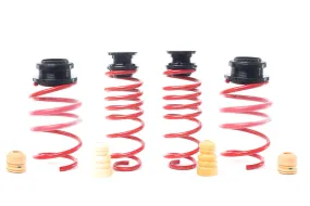 H&R VTF Adjustable Lowering Springs