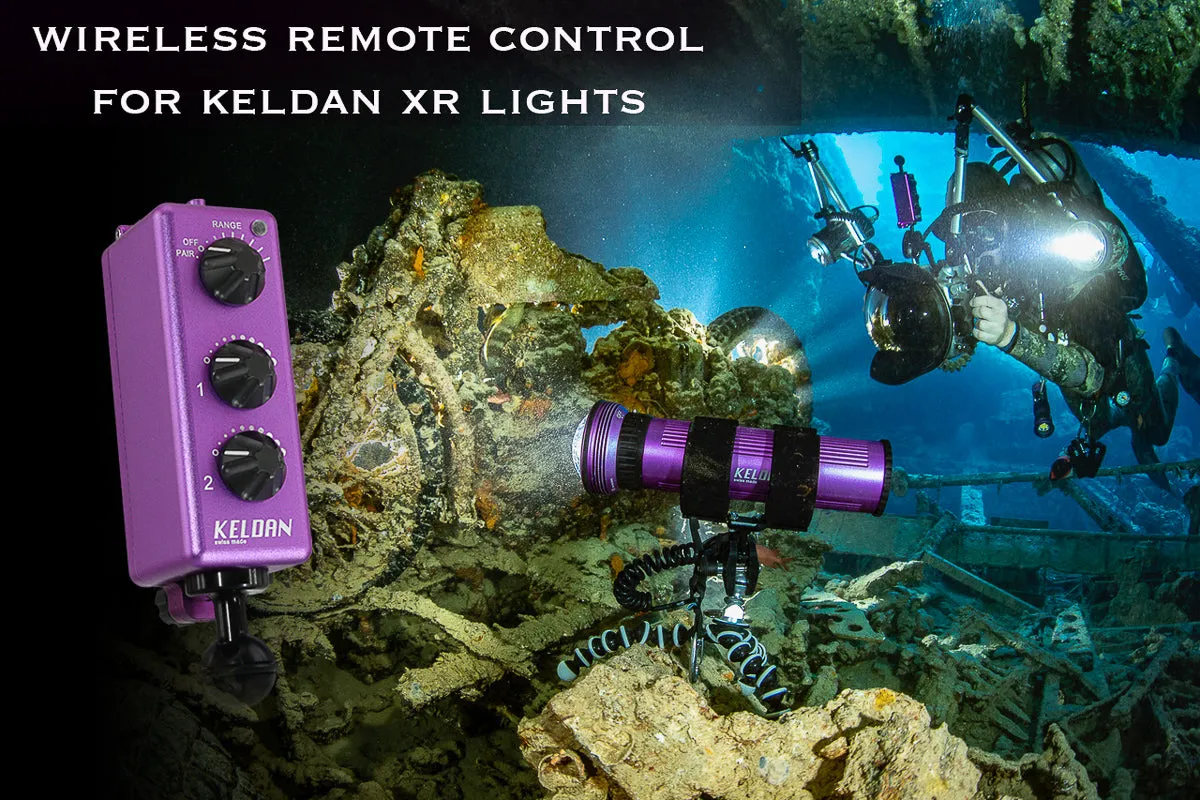 Keldan RC1 Ultrasonic Remote Control