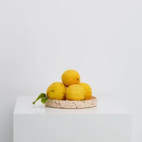 Medium Terrazzo Round Tray -  Salt