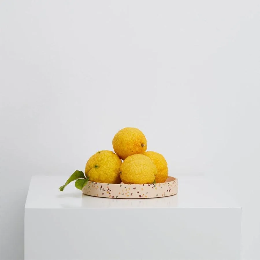 Medium Terrazzo Round Tray -  Salt