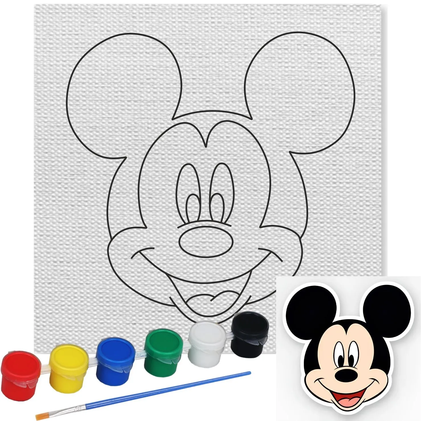 Mickey Canvas Kit