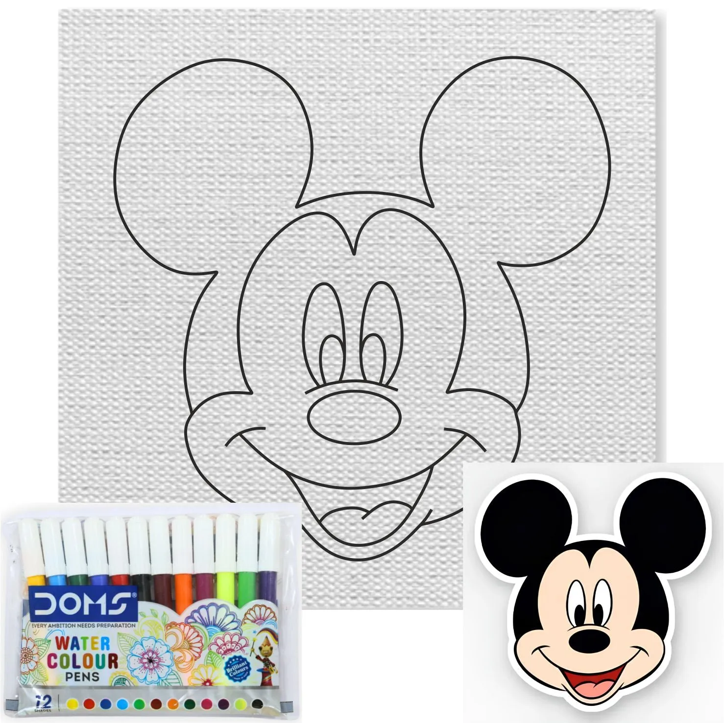 Mickey Canvas Kit