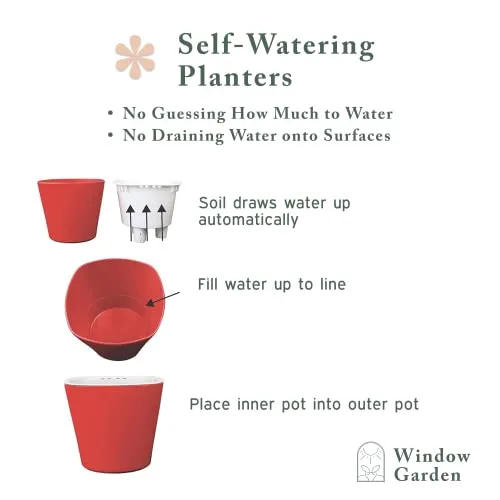 Window Garden Sow Much Fun Starting Flower Planting and Growing Kit for Kids