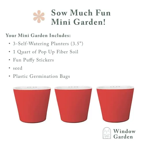 Window Garden Sow Much Fun Starting Flower Planting and Growing Kit for Kids