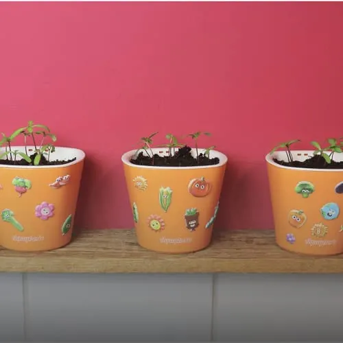 Window Garden Sow Much Fun Starting Flower Planting and Growing Kit for Kids