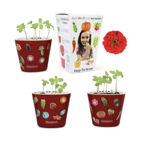 Window Garden Sow Much Fun Starting Flower Planting and Growing Kit for Kids