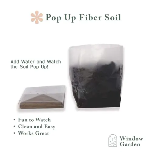 Window Garden Sow Much Fun Starting Flower Planting and Growing Kit for Kids